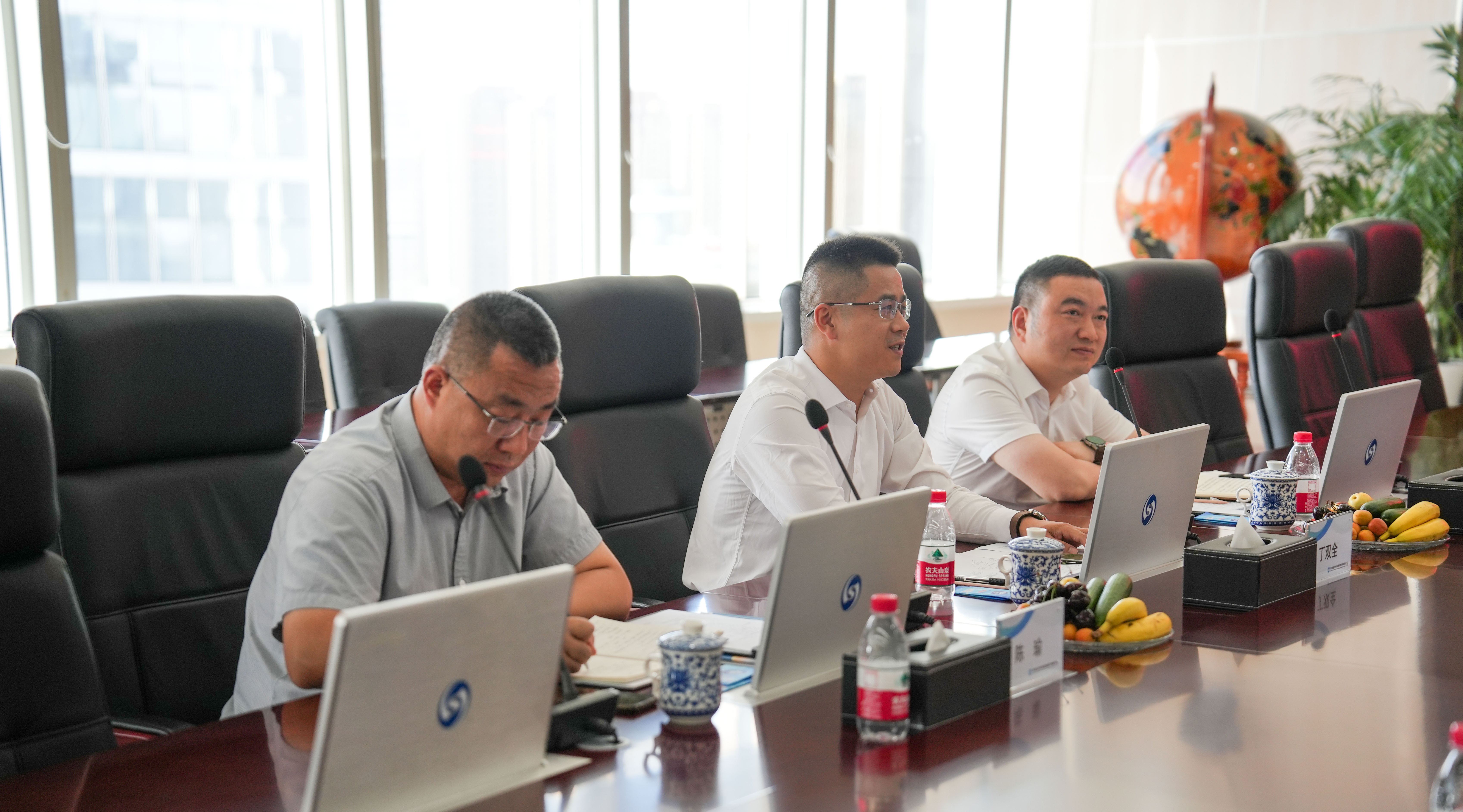 “金葉燦燦 一路向陽”——當(dāng)陽市委常委、副市長丁雙全一行蒞臨集團公司考察交流